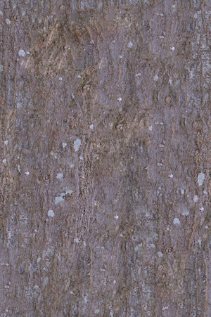 树皮贴图下载 (10)
