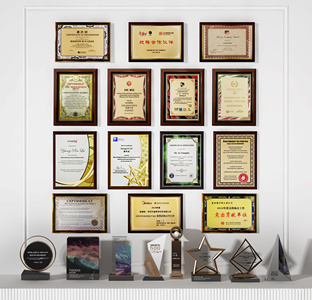 现代奖状 奖杯 荣誉证书 (1)