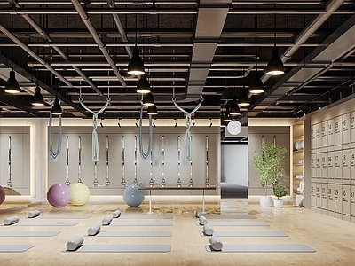 现代瑜伽室SU模型