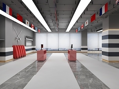  飞镖馆体育馆飞镖机 