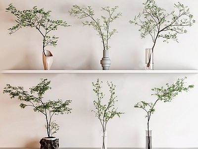 现代花瓶花艺,水生植物SU模型