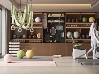 中古风健身房SU模型