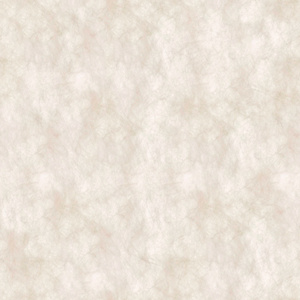 无缝暖白杜邦纸透光纸贴图 (2)