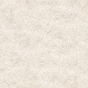 无缝暖白杜邦纸透光纸贴图