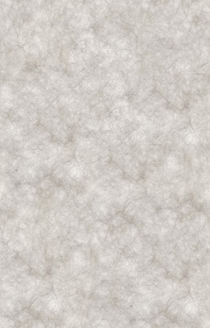 无缝透光纸杜邦纸贴图