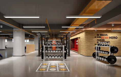 现代 工业  健身，健身房，哑铃