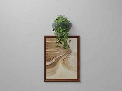 室内吊兰相框挂画