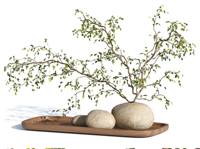 绿植花瓶托盘摆件3D模型