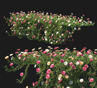 花草组合_花草堆植物花草，绿植墙3D模型