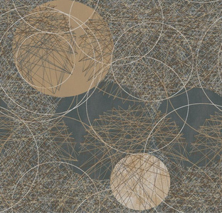 现代圆圈地毯 (1)