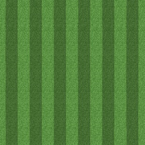 足球场深浅带状间隔草地贴图 (2)