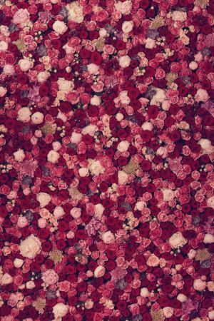 玫瑰花墙面花墙