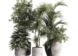 绿植盆栽SU模型