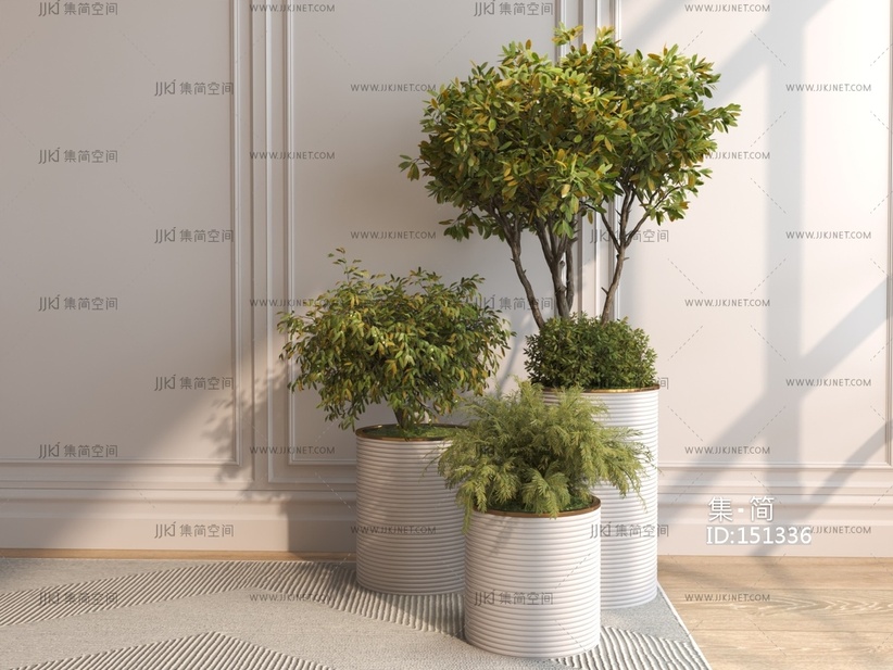 04现代绿植盆栽