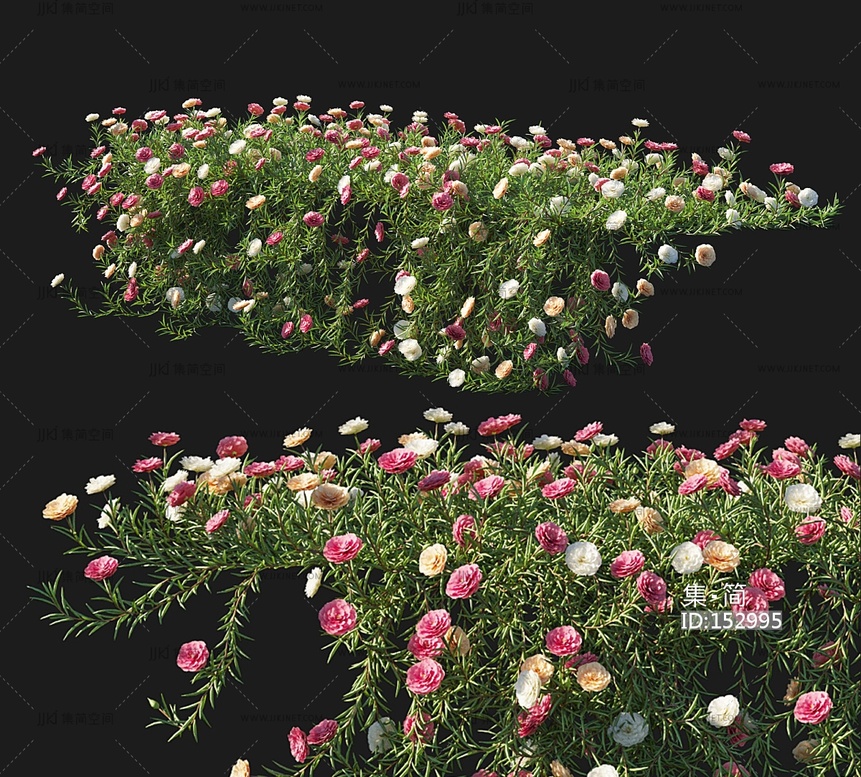 花草组合_花草堆植物花草，绿植墙3D模型