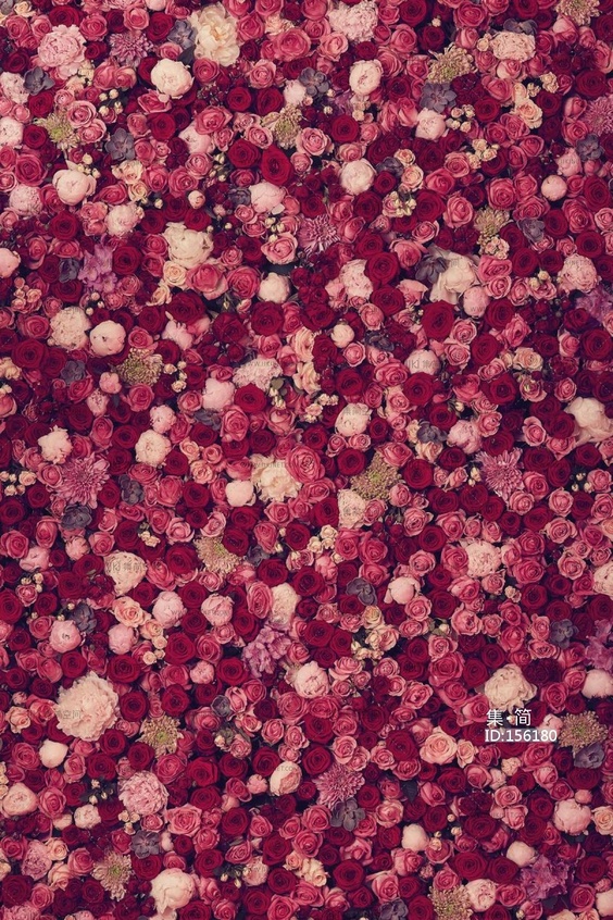 玫瑰花墙面花墙