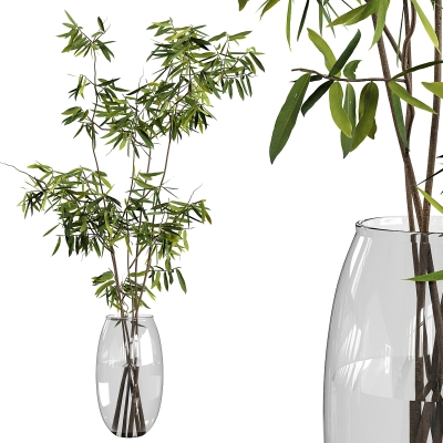 绿植 竹子 水生植物3d模型