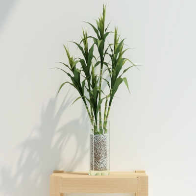 现代绿植，花瓶，花艺v