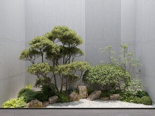  新中式庭院景观造景 