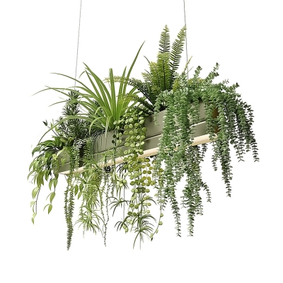  现代 吊篮，吊装绿植植物 