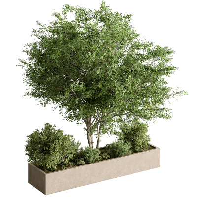 现代 花池 绿植池3d模型下载