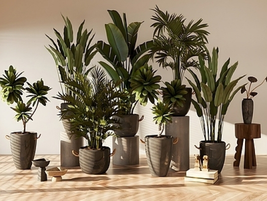 现代室内盆栽植物花盆组合SU模型
