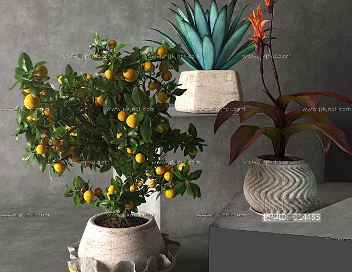 27植物盆栽果树3d模型下载-【集简空间】「每日更新」