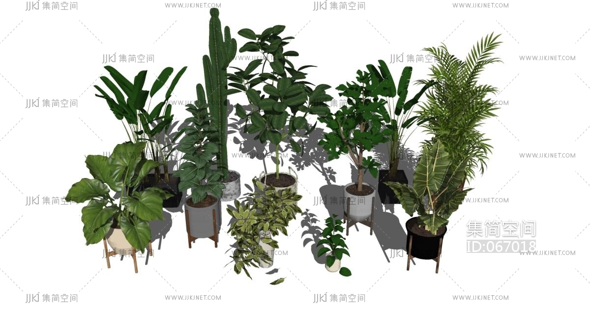 02现代绿植,盆栽,花盆,植物仙人掌散尾葵su草图模型下载-【集简空间】「每日更新」