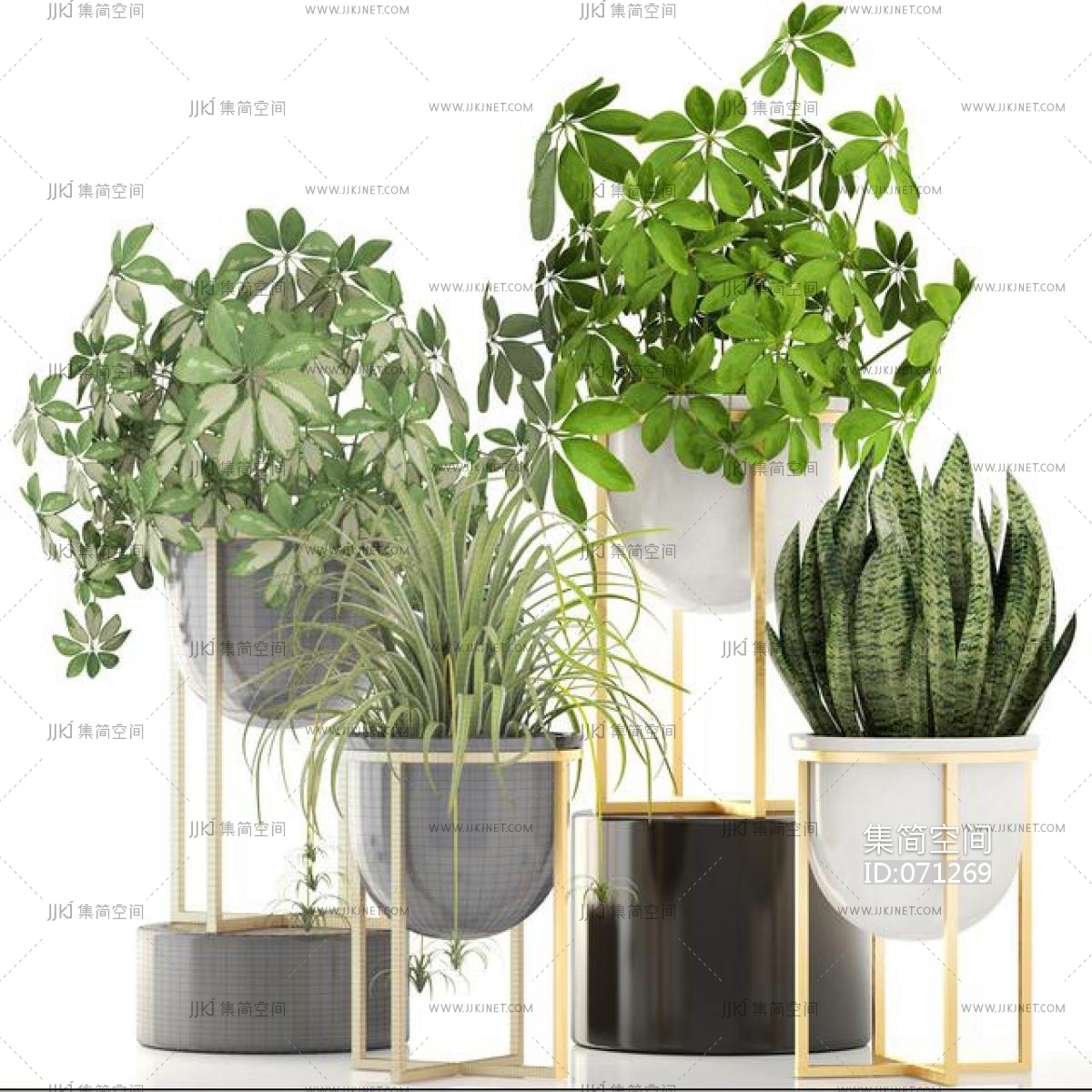 植物盆栽3d模型下载-【集简空间】「每日更新」