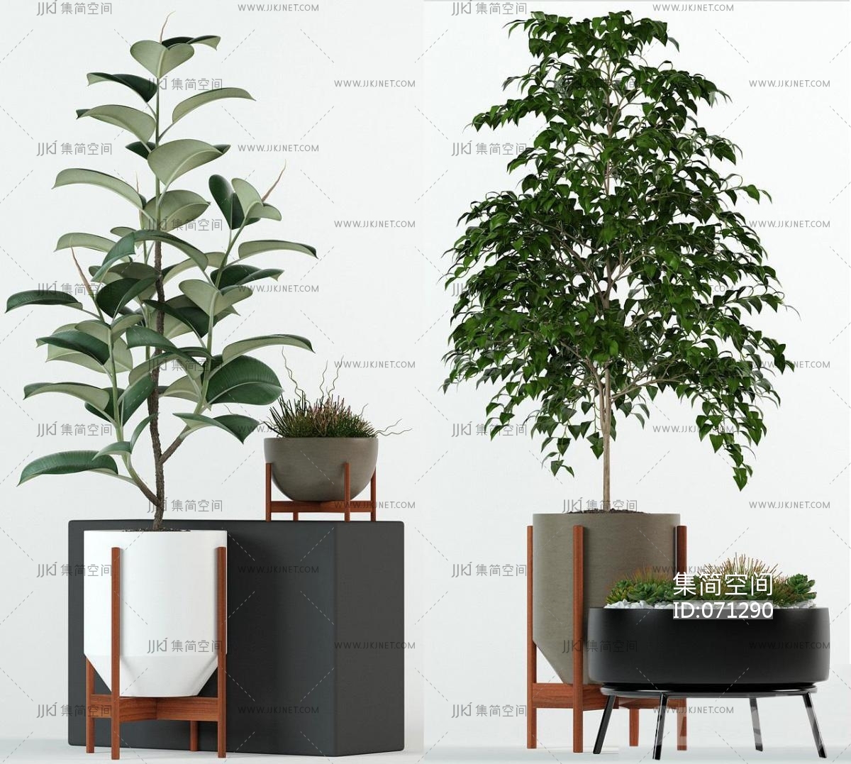 植物盆栽3d模型下载-【集简空间】「每日更新」