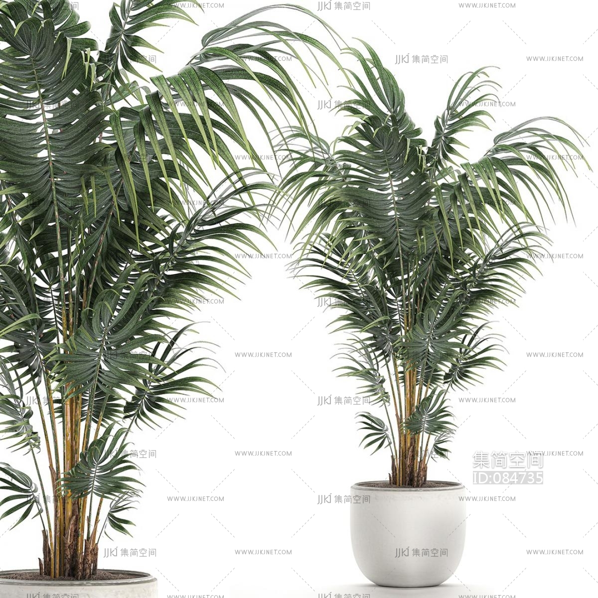绿植散尾葵植物盆栽花盆3d模型下载-【集简空间】「每日更新」
