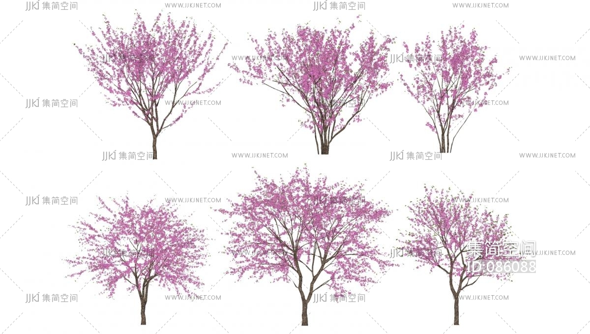 紫荆花植物,樱花树-su草图模型下载