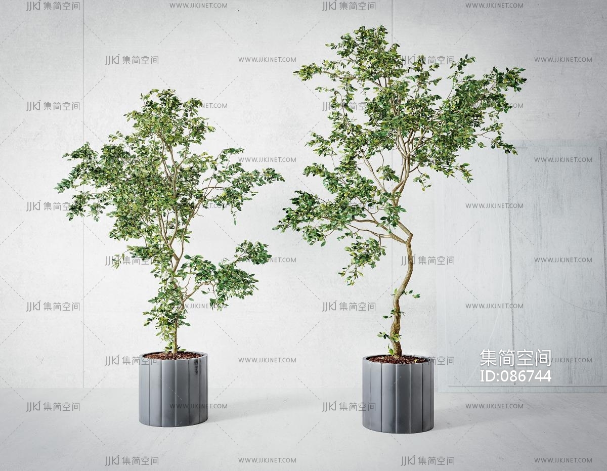 09现代植物绿植盆栽3d模型下载-【集简空间】「每日更新」