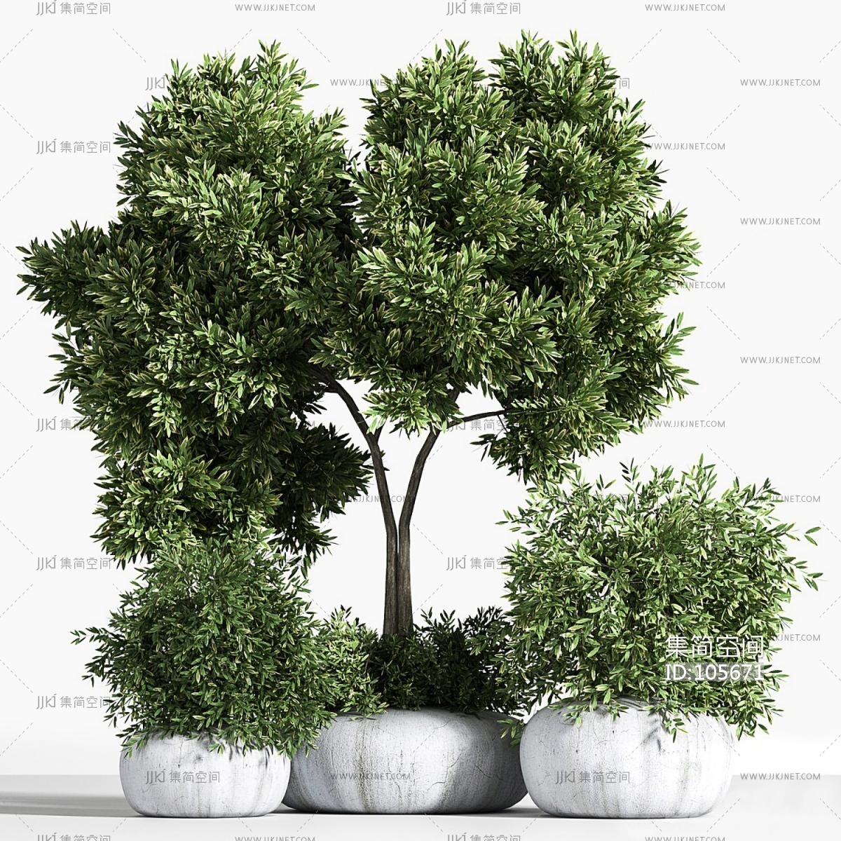 现代植物盆栽3d模型下载-【集简空间】「每日更新」