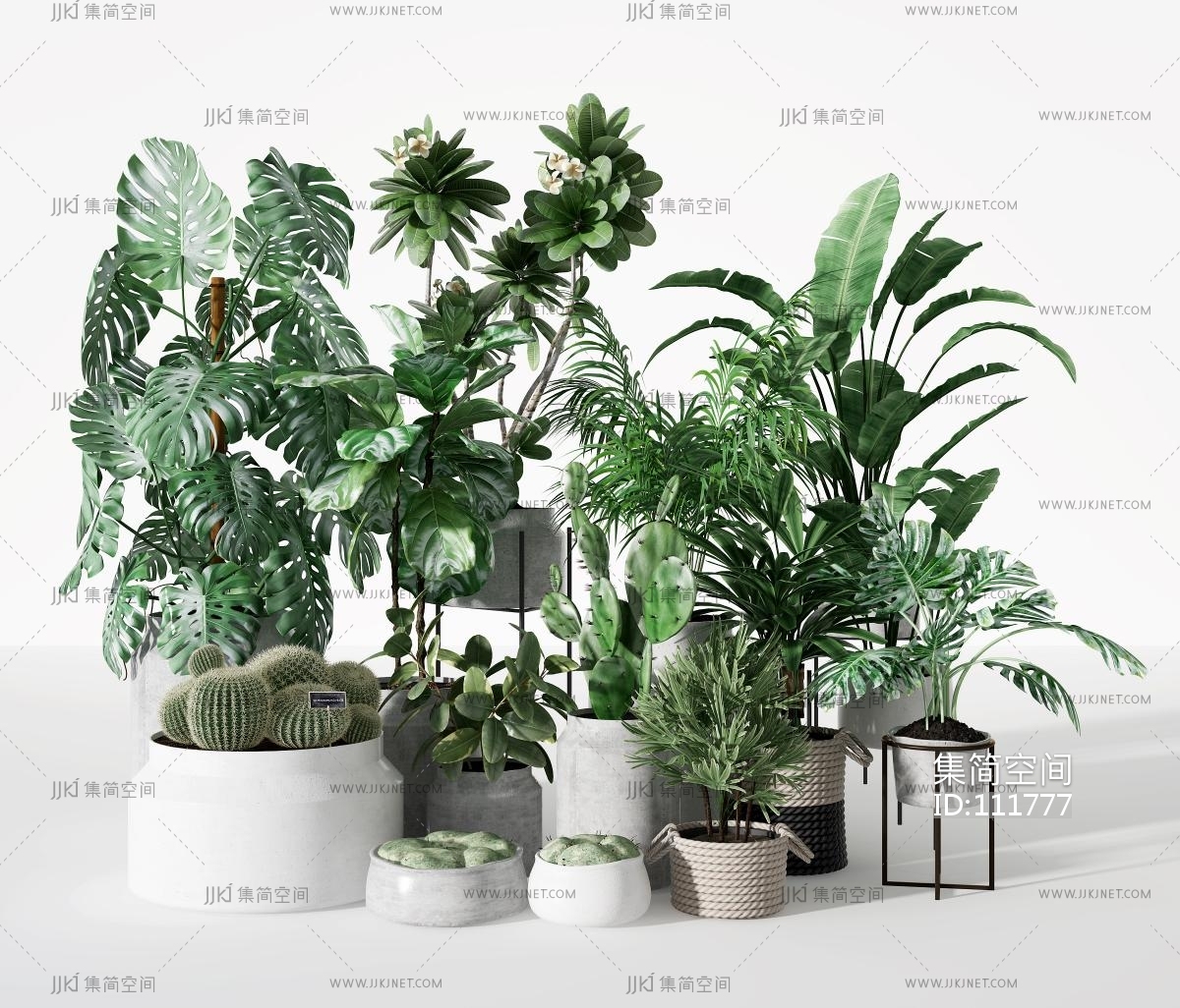 现代绿植盆栽,3d模型下载-【集简空间】「每日更新」