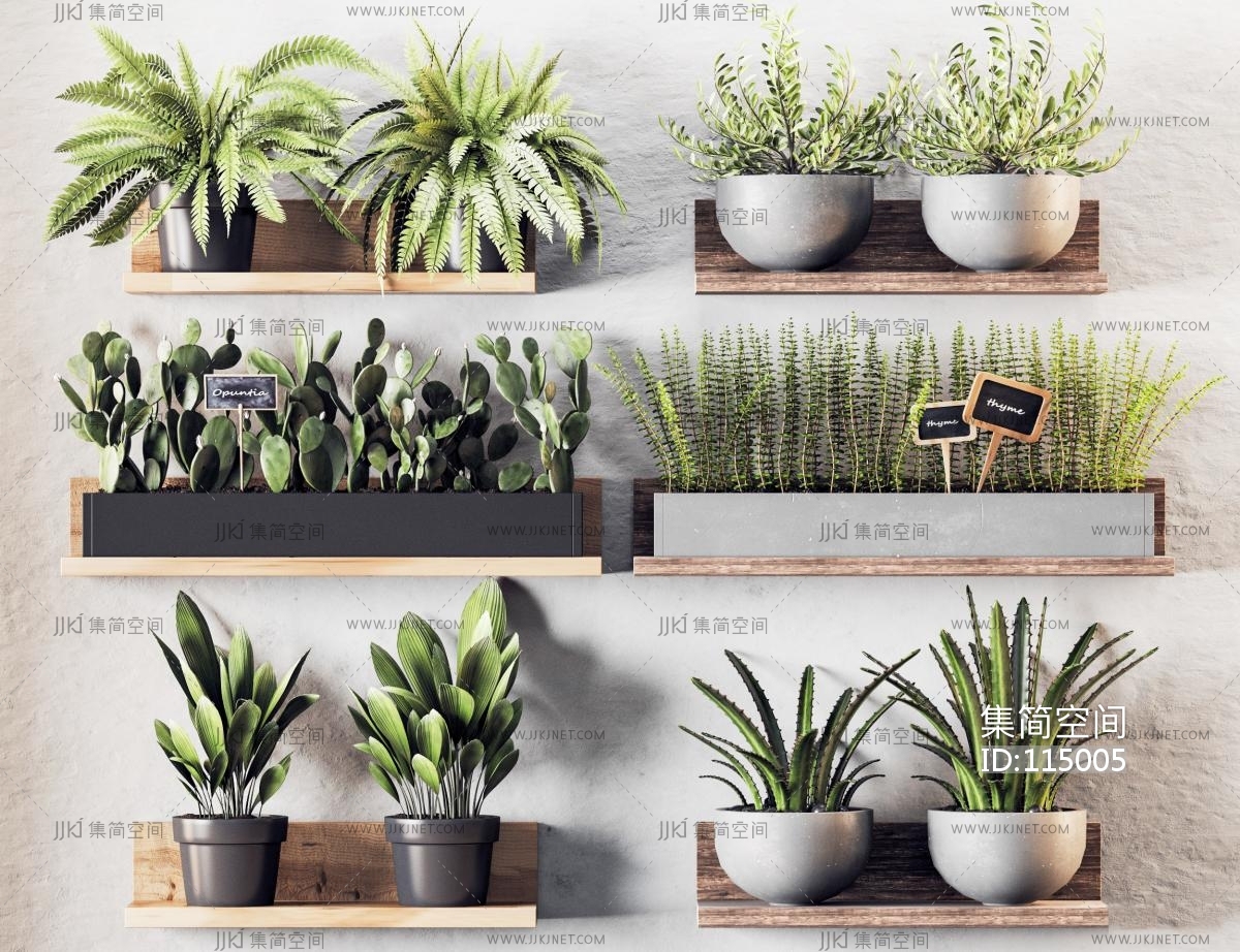 植物墙装饰-植物墙怎么做 植物上墙的五个方法可以做阳台花园