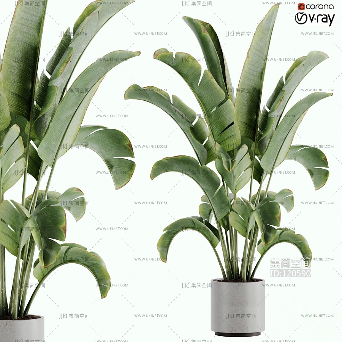 现代植物盆栽3d模型下载-【集简空间】「每日更新」