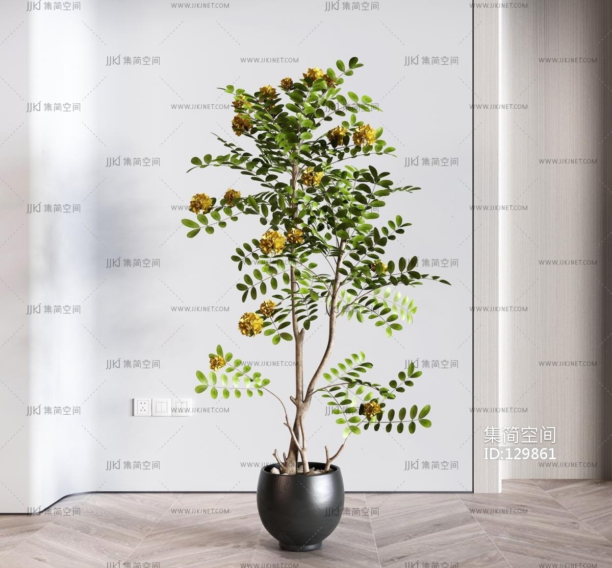 现代绿植盆栽3d模型下载-【集简空间】「每日更新」