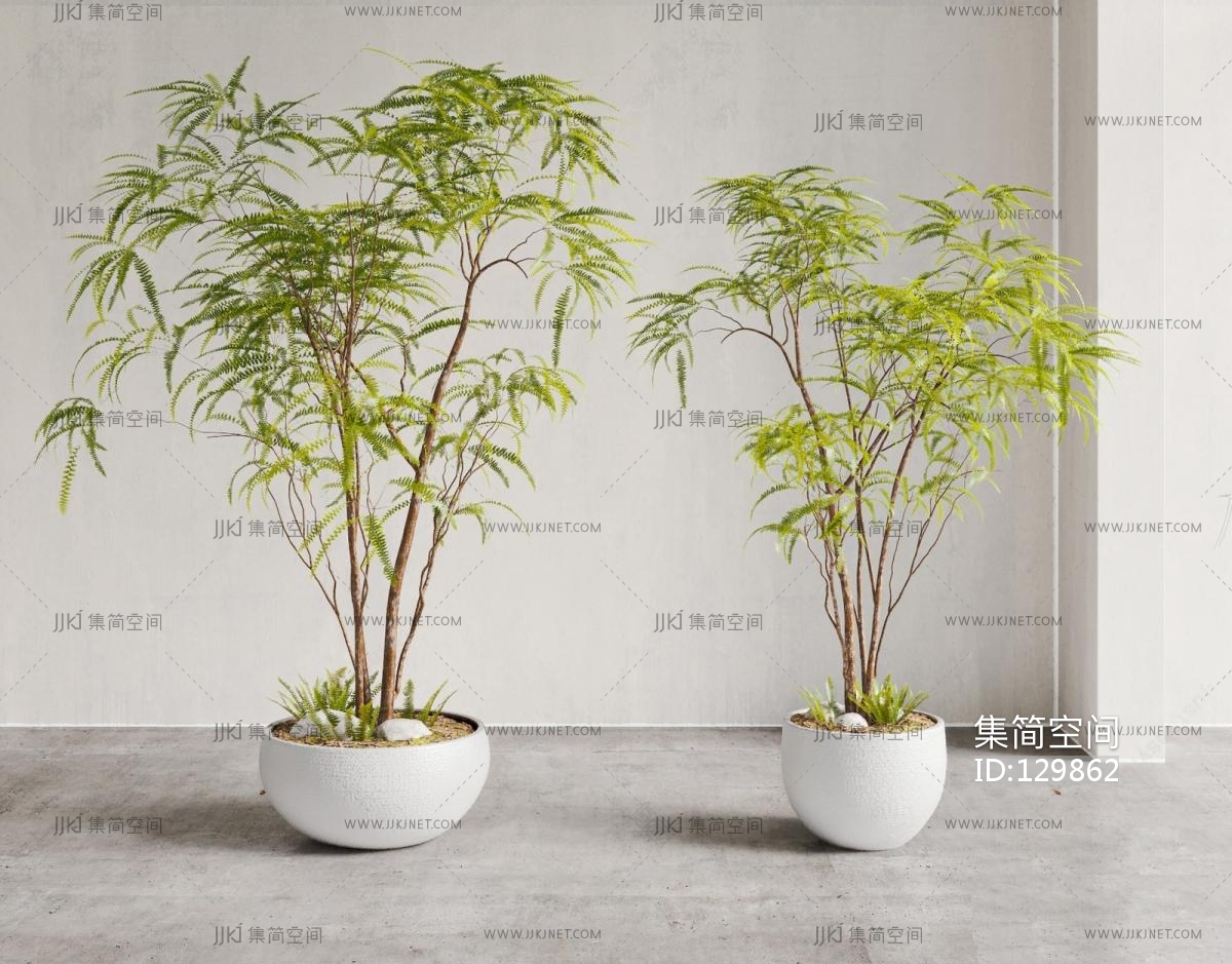 凤尾竹绿植盆栽3d模型下载-【集简空间】「每日更新」