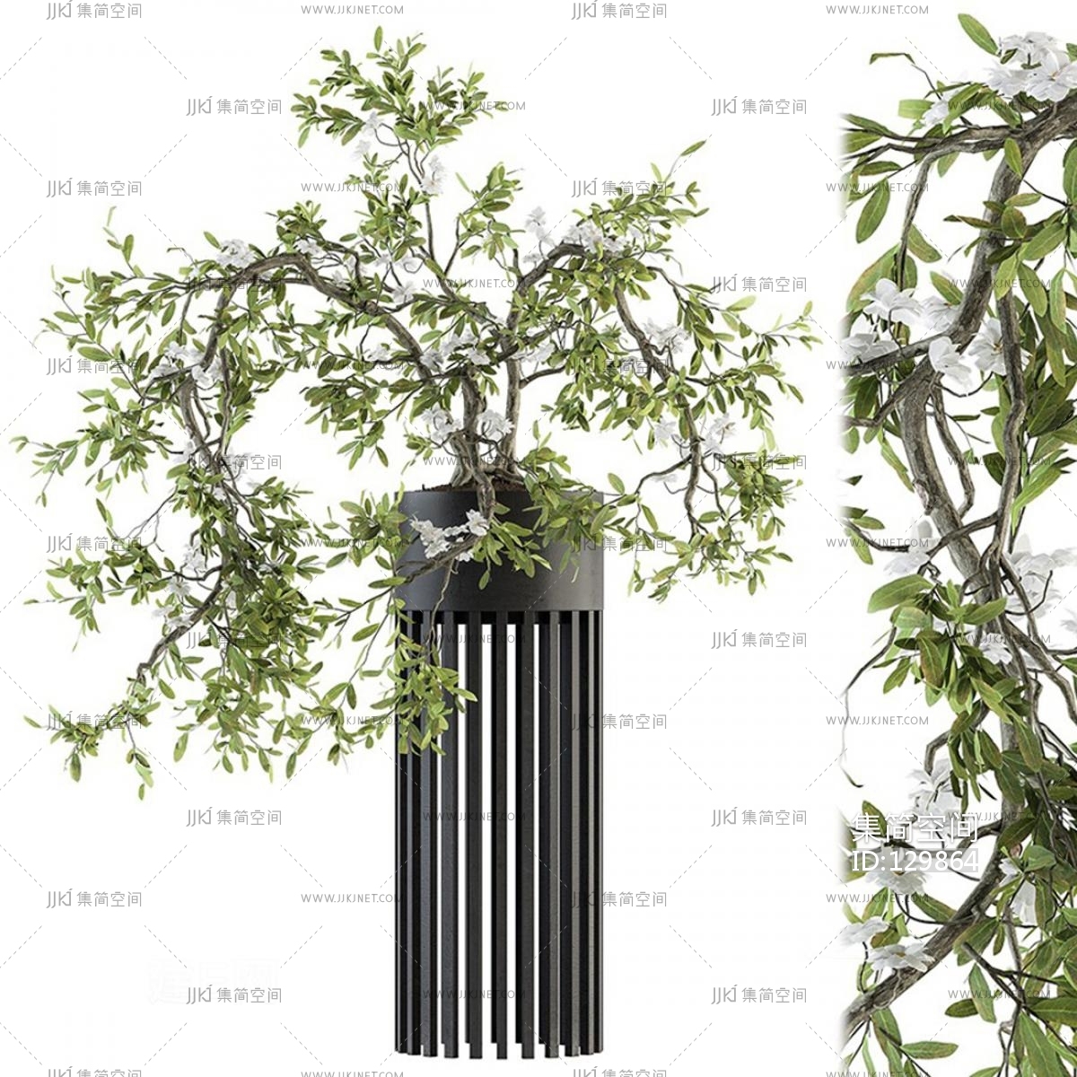 现代植物盆栽3d模型下载-【集简空间】「每日更新」