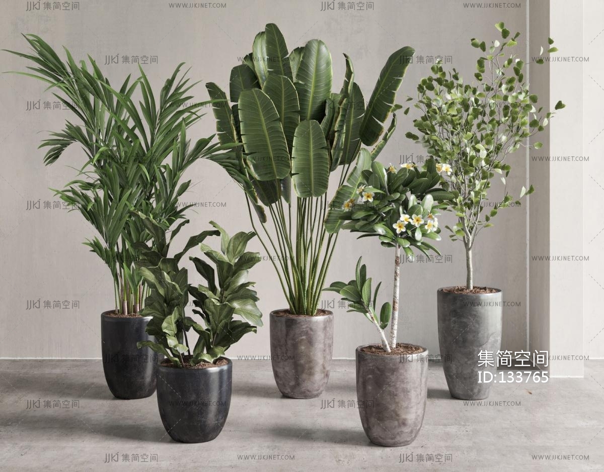 现代绿植盆栽3d模型3d模型下载-【集简空间】「每日更新」