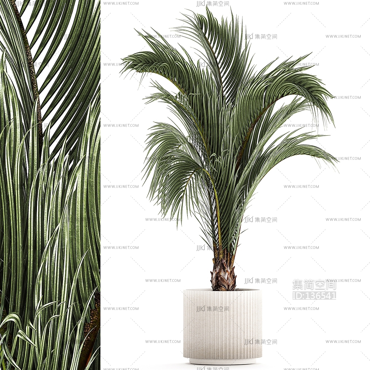现代盆栽绿植植物散尾葵su模型su草图模型下载-【集简空间】「每日更新」