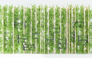 H08-1112现代绿植墙藤蔓