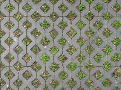 室外草坪草皮砖植草砖 (10)