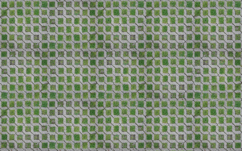 室外草坪草皮砖植草砖 (23)