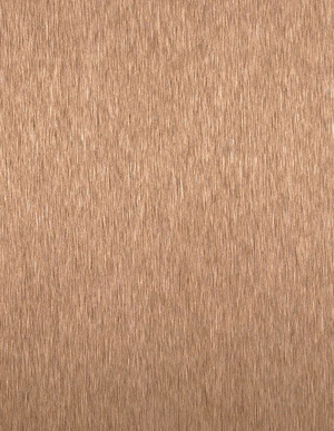 玫瑰金拉丝不锈钢 (3)