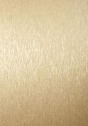 玫瑰金拉丝不锈钢 (4)