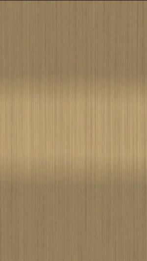 玫瑰金拉丝不锈钢 (5)