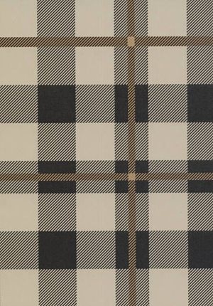 格子条纹布料 (1)