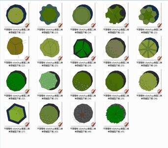 平面植物 sketchup草图二维单面模型下载